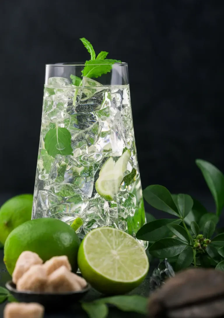 Mojito cocktail drink serveret i et highball glas med limefrugter ved siden af.